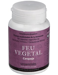Feu Vegetal Digestion 90Cap. de Serpens