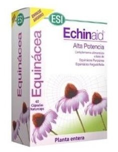 Echinaid 60Cap. de Trepatdiet-Esi