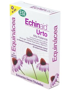 Echinaid Urto 30Cap. de Trepatdiet-Esi
