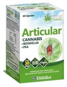 Articular 60 Caps. V de Ynsadiet