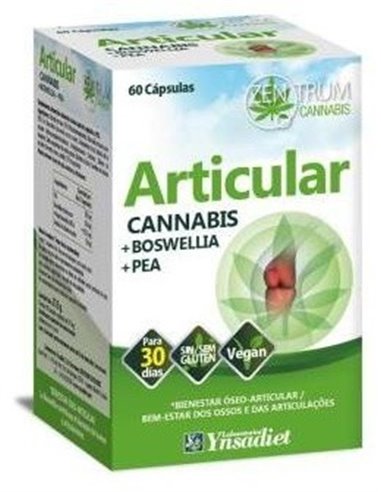 Articular 60 Caps. V de Ynsadiet