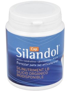 Silandol 120Cap. de Mca Productos Naturales