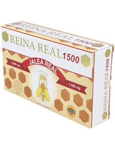 Reina Real 1500Mg. 20Amp. de Robis