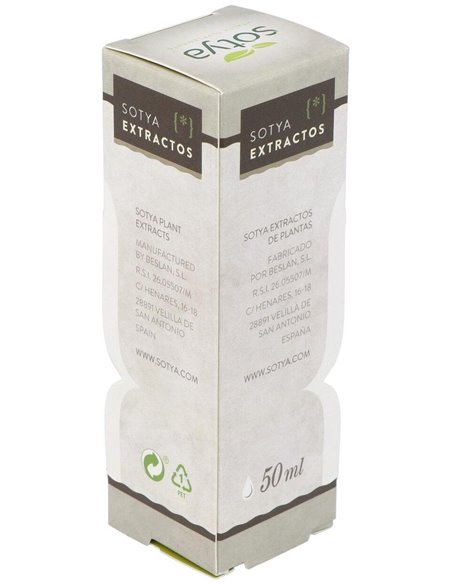 Ginkgo Biloba 50Ml Extracto Glicerinado de Sotya