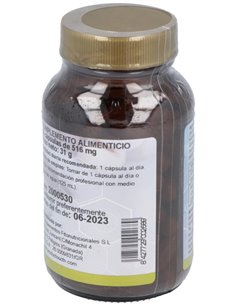 Ginkgo Biloba (24%)St 60Cap. de Cfn