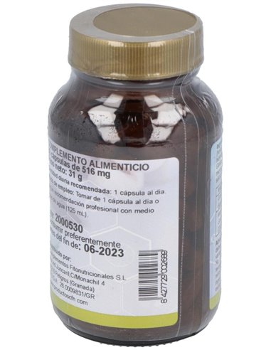 Ginkgo Biloba (24%)St 60Cap. de Cfn