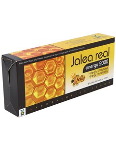 Jalea Real Energy 2000  20 Viales 10 Ml. de Tegor