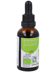 Ext. Llanten S/Al Eco 50Ml. de Artesania