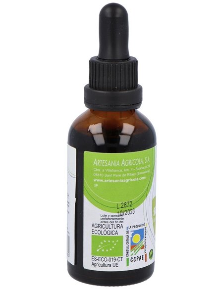 Ext. Llanten S/Al Eco 50Ml. de Artesania