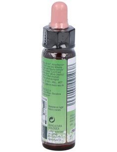 Remedio Plantis Nº 4 Temores-Inseguridades 10Ml. de Artesania
