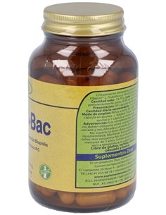 Intes1+Bac 90Cap. de Zeus