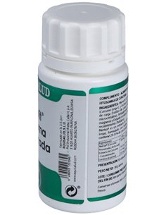 Holofit Curcuma Fitosomada 50Cap. de Equisalud