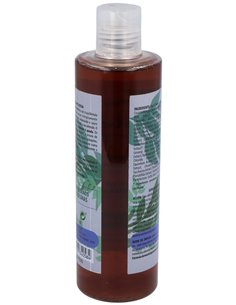 Champu Anticaida 300Ml. (Ref.382) de Algologie