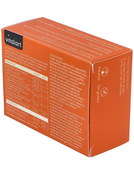 Vitalart Articular 60 Comp. de Vitalart