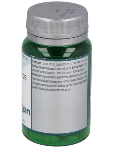 Base Definido 28 60Comp. de Erlingen