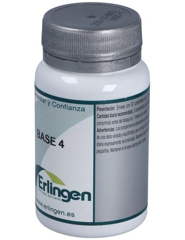 Base 4 60Comp. de Erlingen