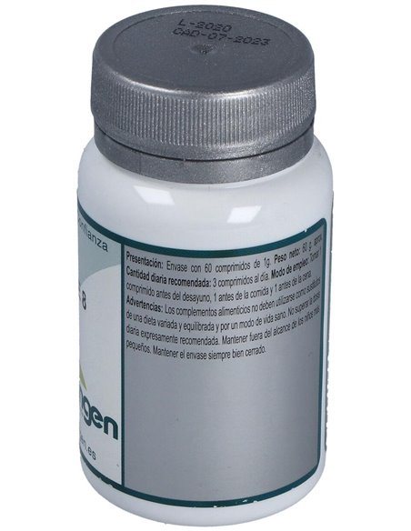 Base 8 60Comp. de Erlingen