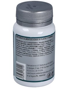 Base 10 60Comp. de Erlingen