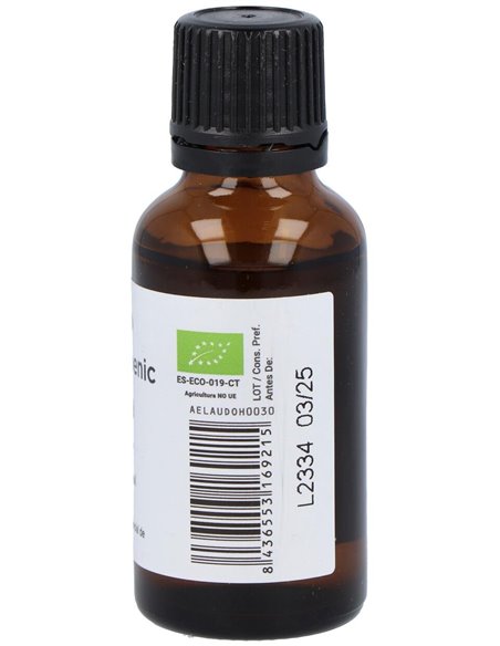 Laurel Aceite Esencial Bio 30Ml. de Terpenic