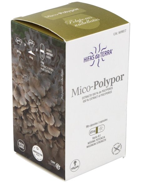 Mico Polypor (Polyporus) Hdt 70Cap. de Hifas Da Terra - Hdt