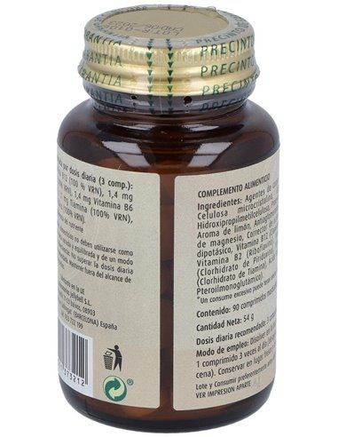 Sal Salys-90 05 Kp 90Comp. de Jellybell