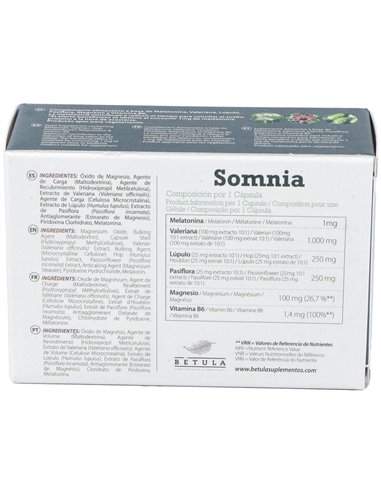 Somnia 30Cap. de Betula