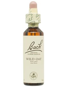 (36) Wild Oat  de Bach
