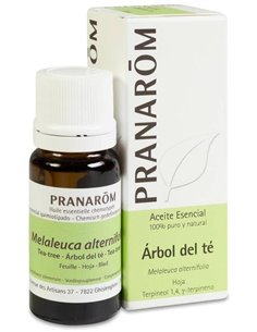 Arbol Del Te Hoja 10 Ml de Pranarom