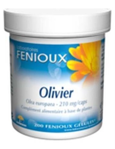 Olivo 200Cap. de Fenioux