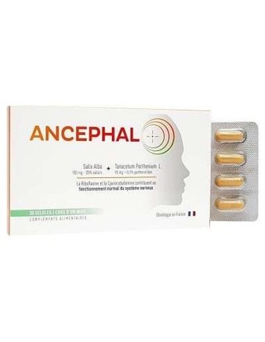 Ancephal 30 Cápsulas  Evidency Lab