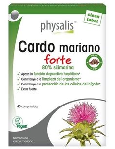 Cardo Mariano Forte de Physalis