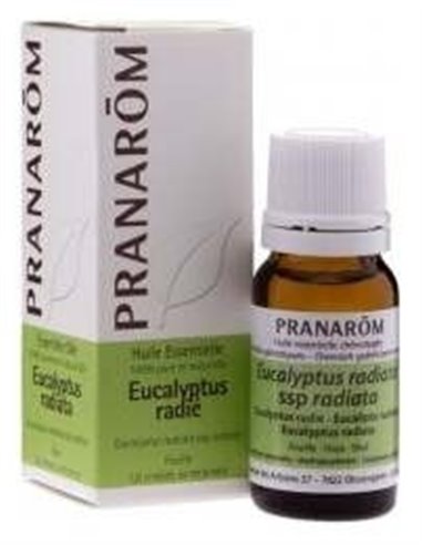 Eucalipto Radiata Hoja 10 Ml de Pranarom Aceites