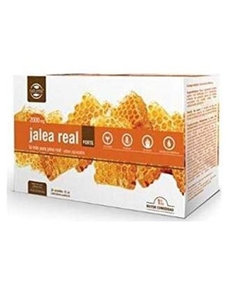 Jalea Real Forte 2000Mg. 20Amp. de Dietmed