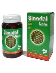 Sinodal 60Cap. de Nale