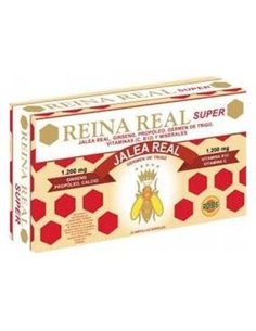 Reina Real Super 20Amp de Robis