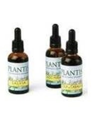 Ext.Gayuba 50Ml Maese Herbario de Artesania