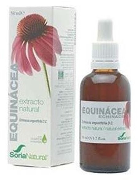 Ext Equinace Eco S/Alc Plantis de Artesania