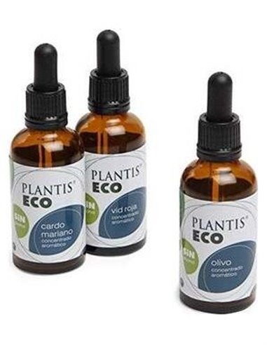 Ext Espino B Eco S/Alc Plantis de Artesania