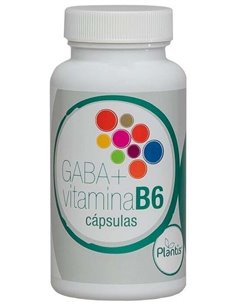 Gaba + Vit. B6 60Cap. de Artesania