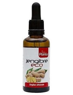 Extr Jengibre Eco Plantis 50Ml de Artesania