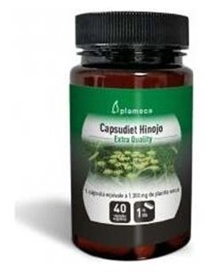 Capsudiet Hinojo 40 Cápsulas Vegetales de Plameca
