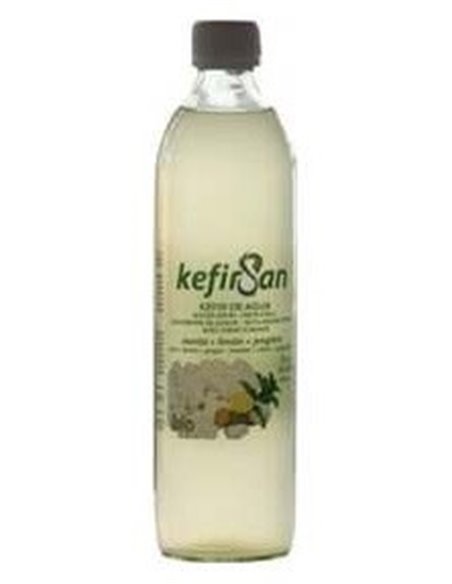 Kefir De Agua Sabor Menta Limon Jengibre 500M Bio de Bionsan