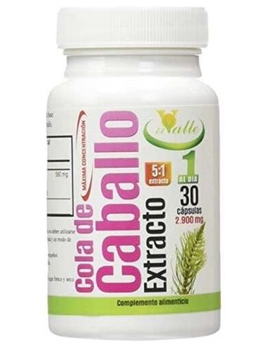 Cola De Caballo 30Cap. de El Valle