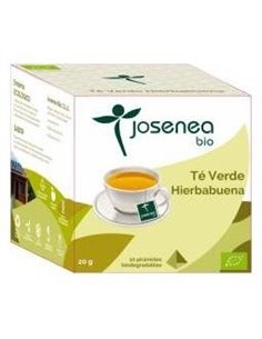 Te Verde-Hierbabuena 10Piramides Ensobradas Bio de Josenea