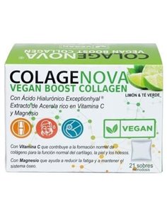 Colagenova Vegan Boost Te Verde+Limon 21Sbrs. de Vaminter