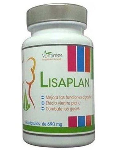 Lisaplan 60Cap. de Vaminter