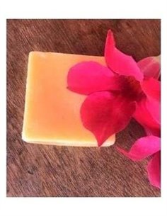 Acondicionador Solido Antifrizz 55Gr. de Nitx