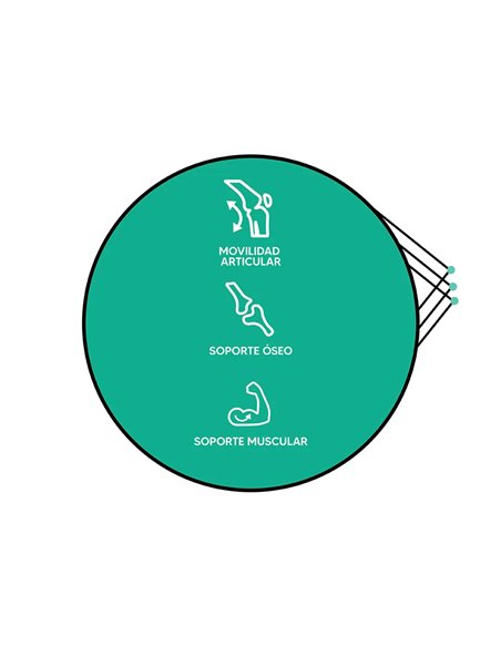 Collagen Superdose Joint Health Articulacion 300Ml de Gold Collagen