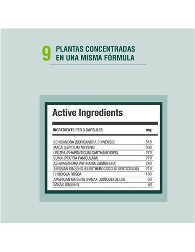 Energyheal 90Cap. de Adaptoheal