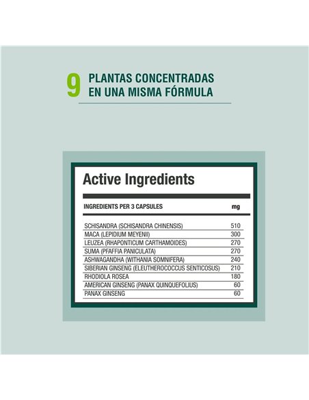 Energyheal 90Cap. de Adaptoheal